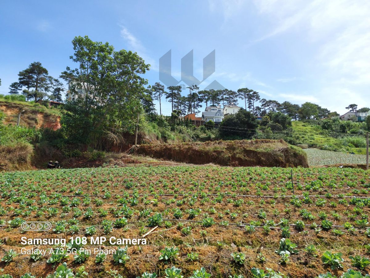 Đất Xuân Thọ - Giá: 10ty5