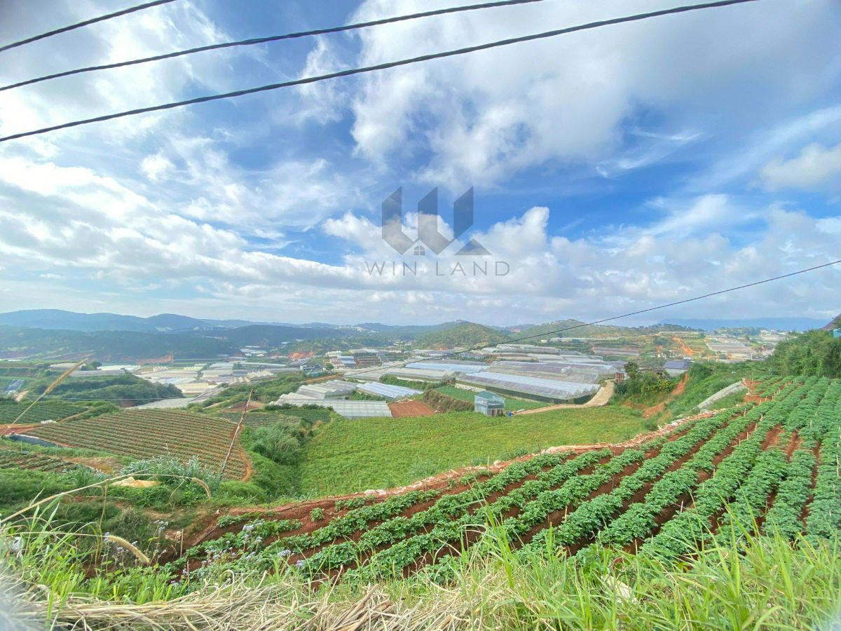 Đất Cao Thắng - Giá:19ty( ctl) 