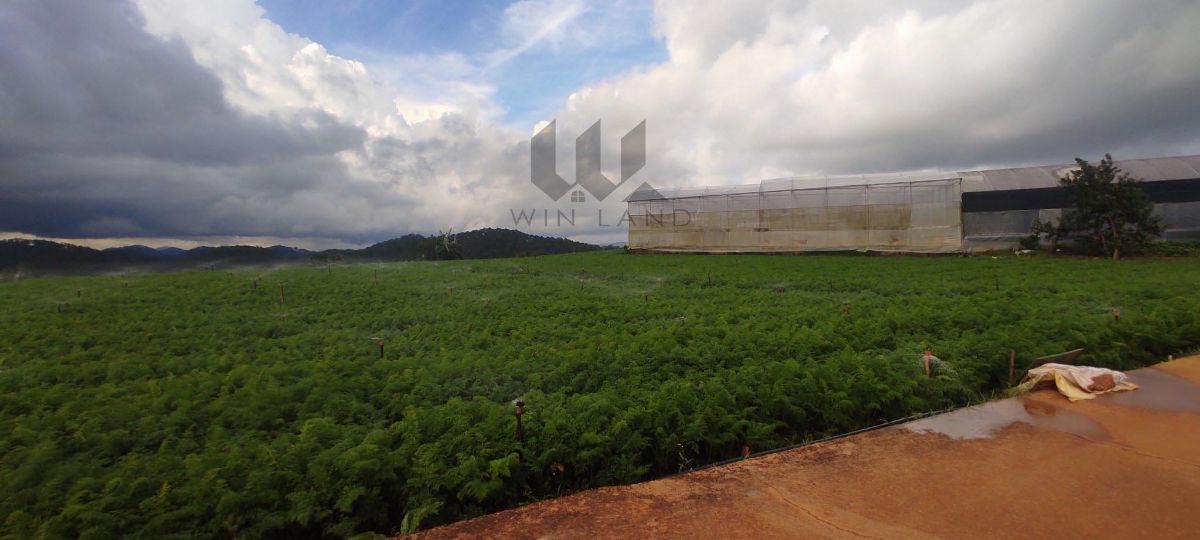 Đất view thung lũng, đập nước Lộc Quý, xã Xuân Thọ - Giá: 25ty
