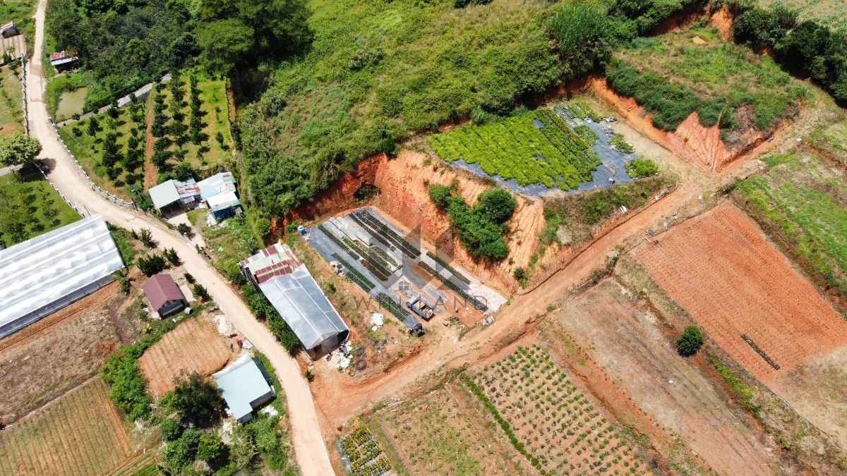Đất Sở Lăng - Giá: 12ty