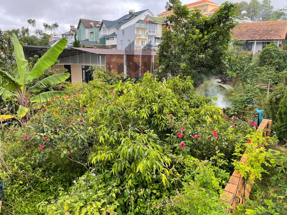 Đất Cao Thắng - Giá: 8ty5