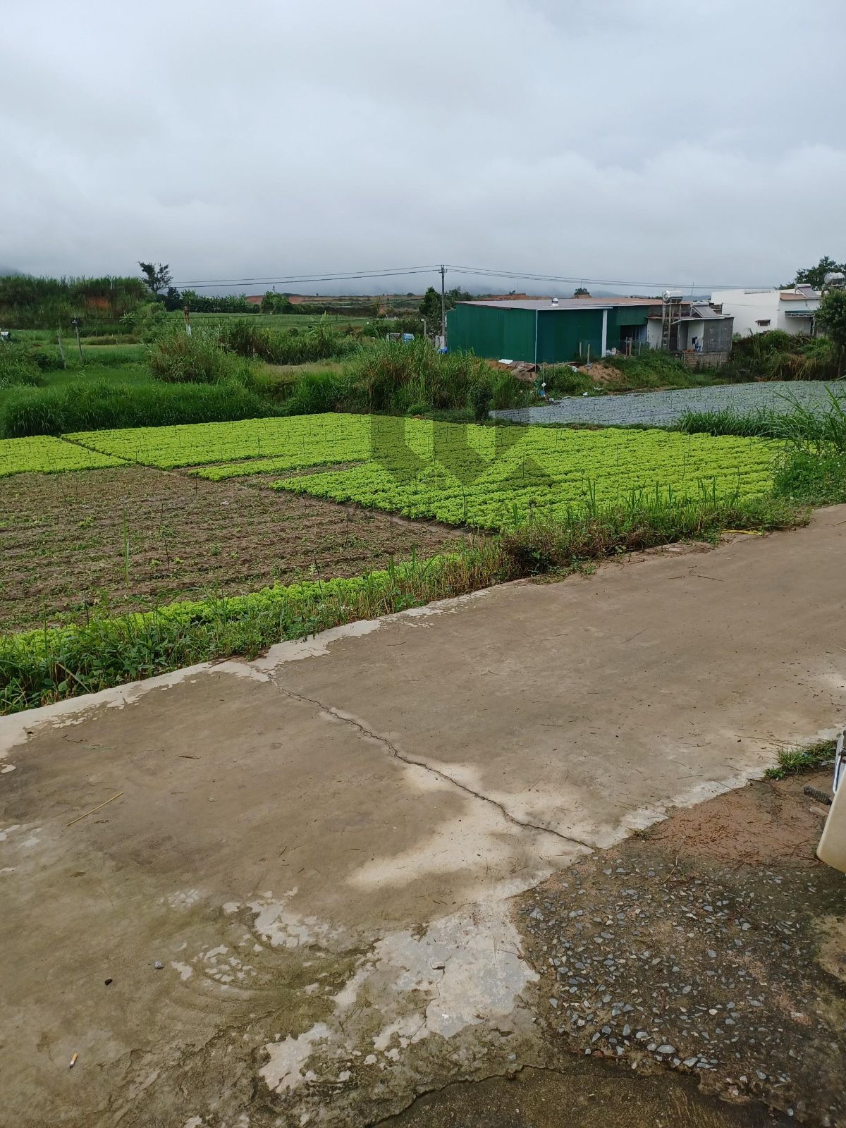 Đất xã Ka Đơn, huyện Đơn Dương - Giá: 2ty8