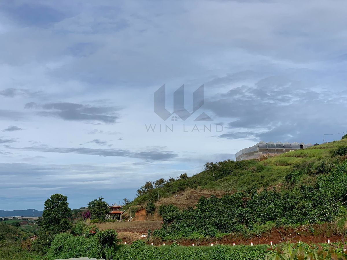 Đất Quảng Thắng, Đa Thọ, xã Xuân Thọ - Giá: 6ty9