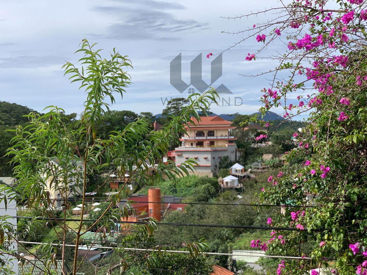 Đất Khe Sanh - Giá: 12ty5