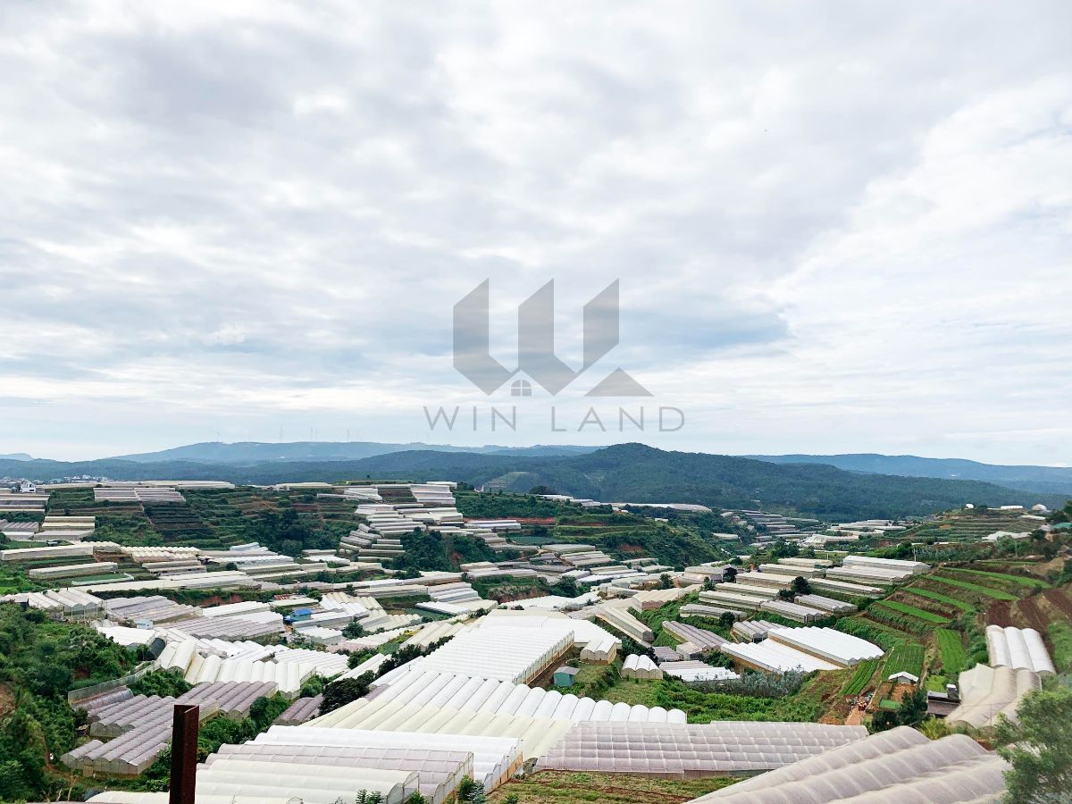 Đất Đa Quý, xã Xuân Thọ - Giá: 11ty