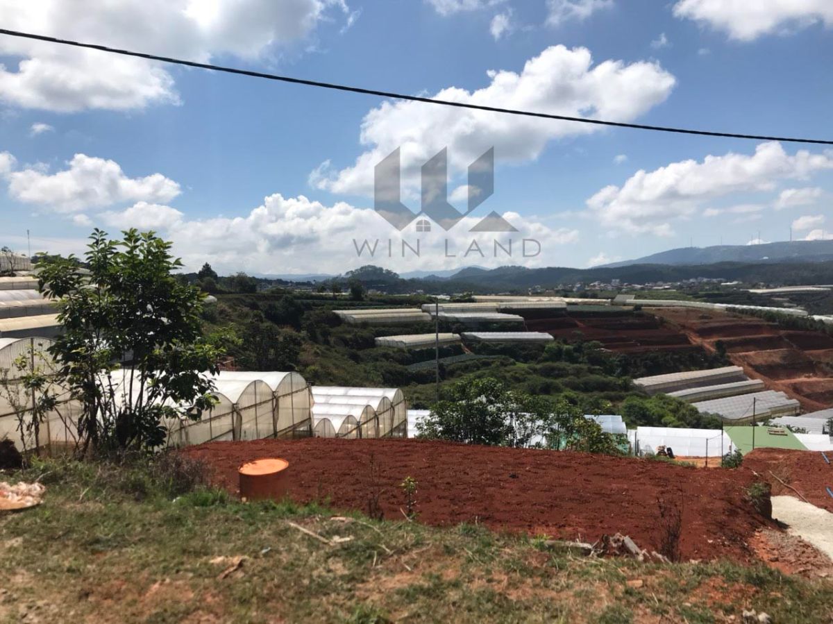 Đất Tập Đoàn 3, thôn Đa Lộc, xã Xuân Thọ - Giá: 7tr/m2