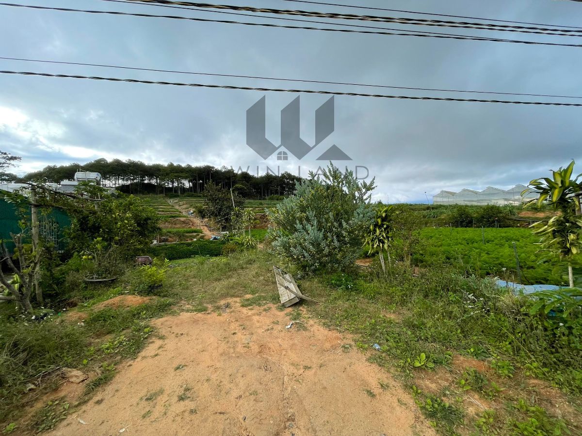 Đất Lâm Văn Thạnh - Giá: 15ty