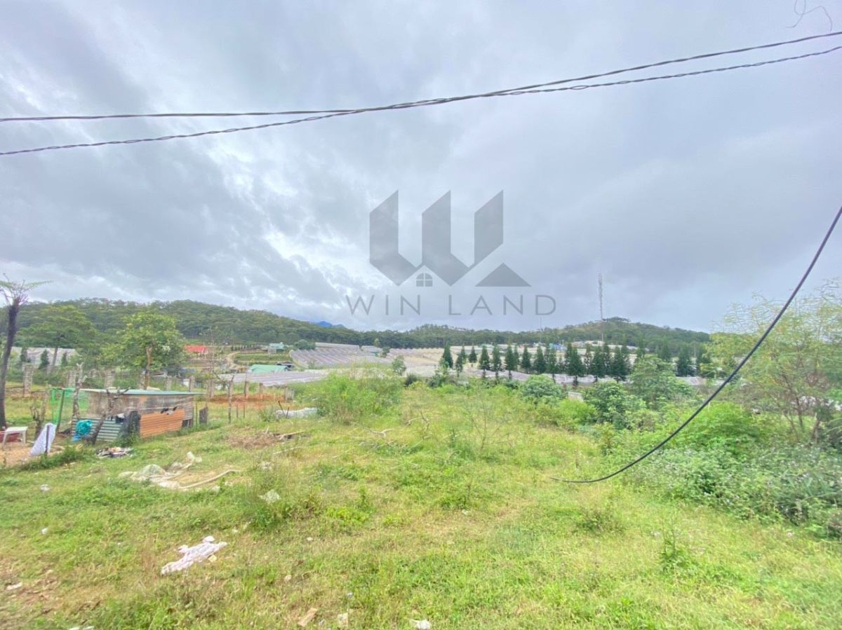Đất Măng Lin - Giá: 10tr/m2