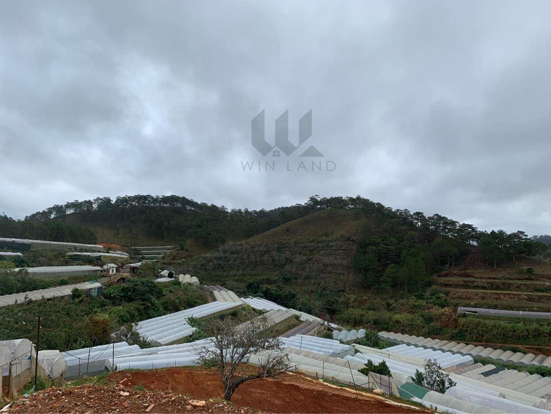 Đất thôn Xuân Thành, xã Xuân Thọ - Giá: 3ty3