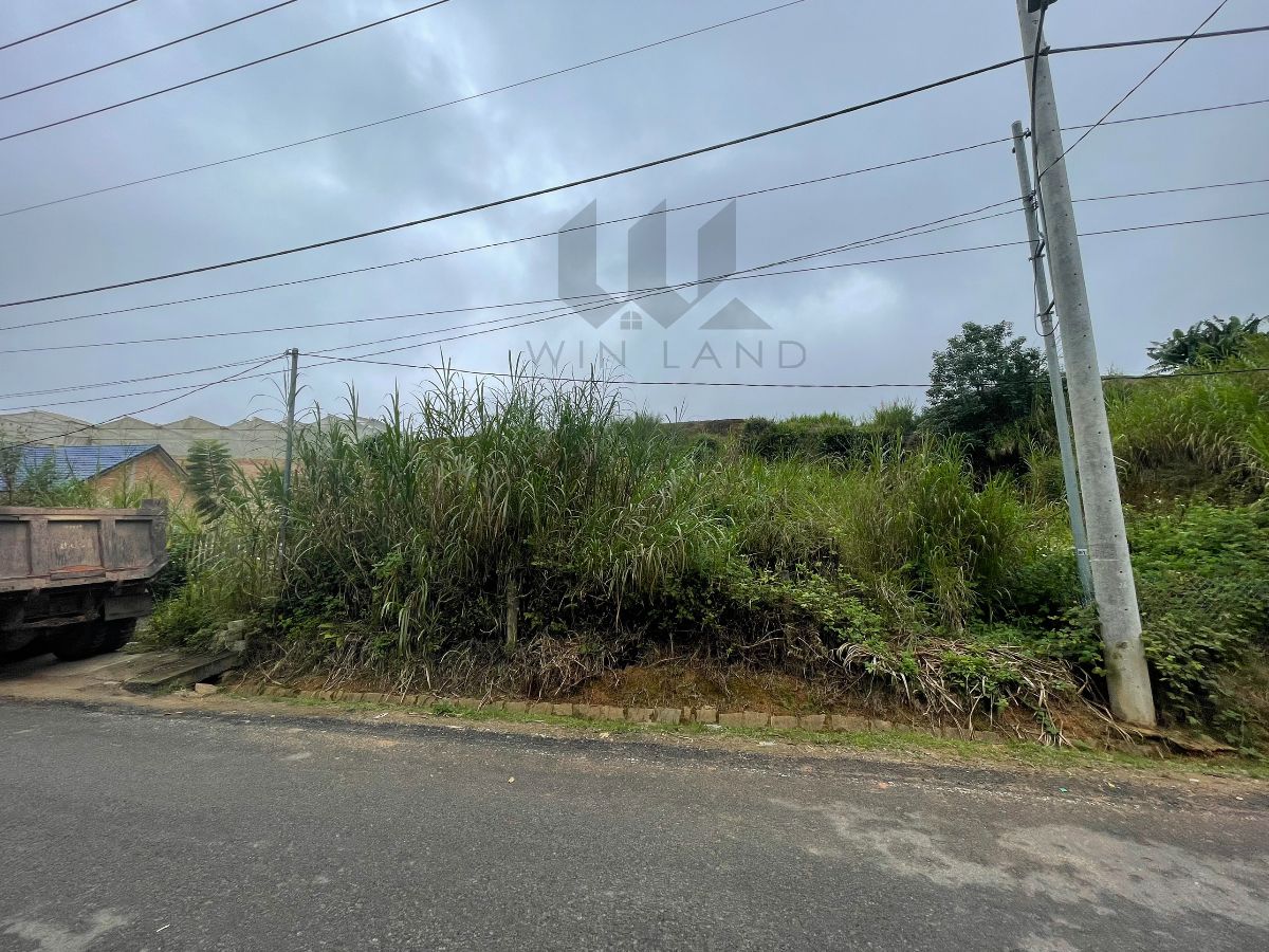 Đất Mặt tiền Tô Hiệu - Giá: 16ty8