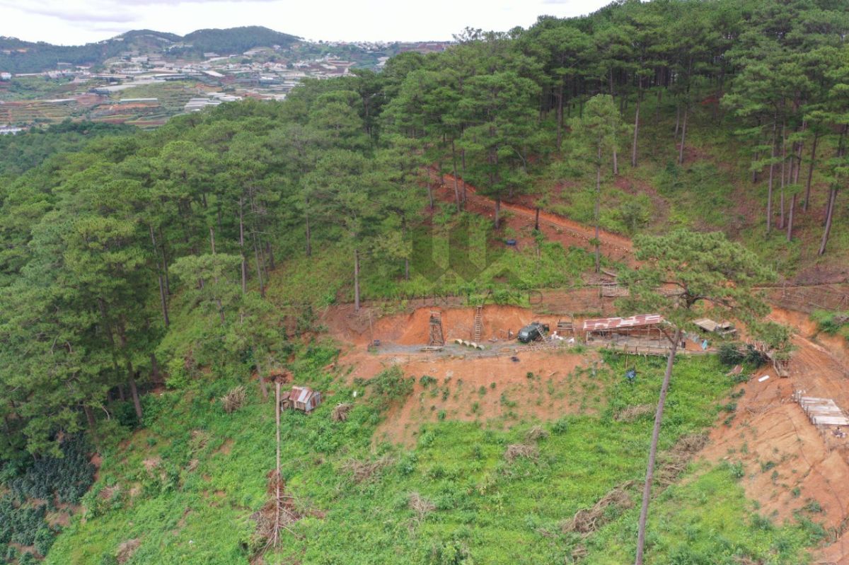 Đất đồi Chu Tước, xã Xuân Thọ - Giá: 7ty5