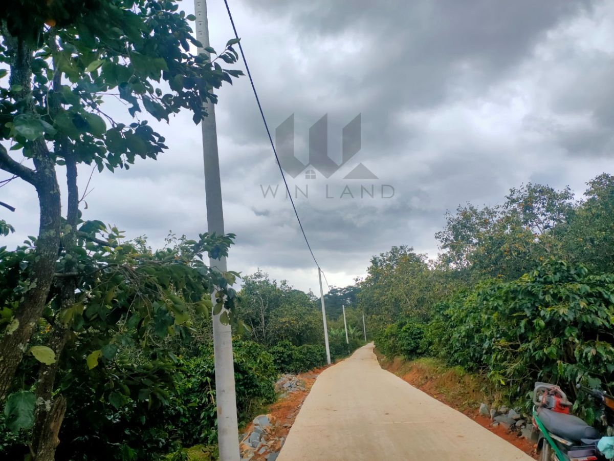 Đất Xuân Trường - Giá: 1ty8