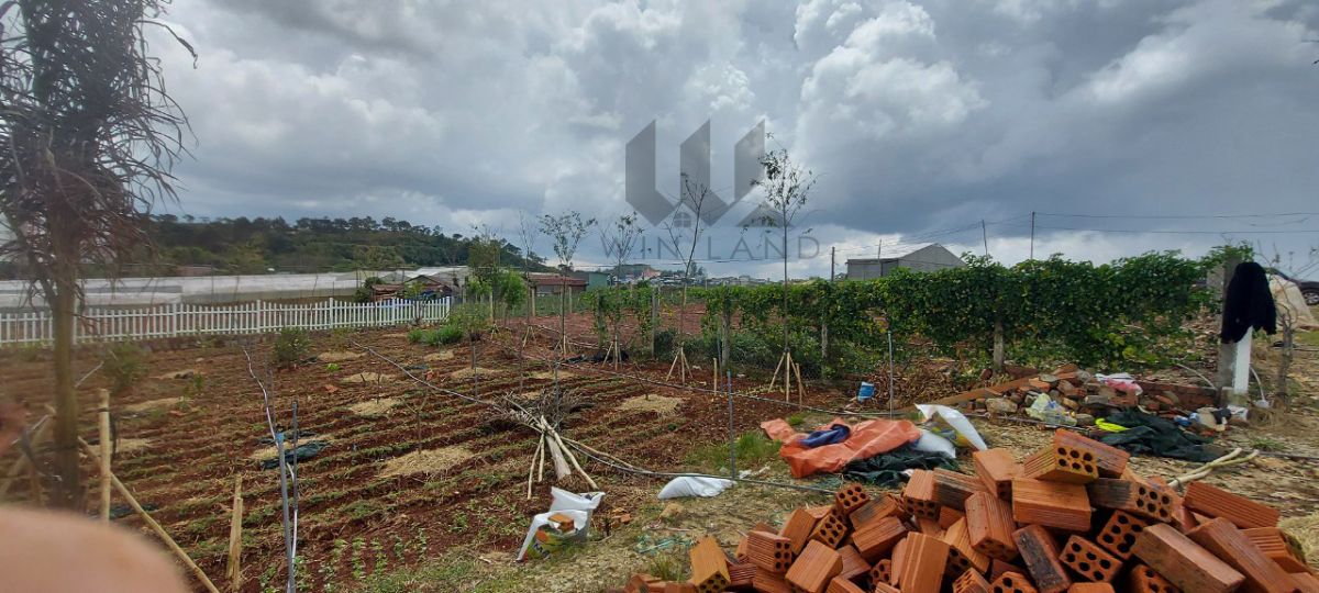 Đất Nguyễn Hoàng - Giá: 12ty