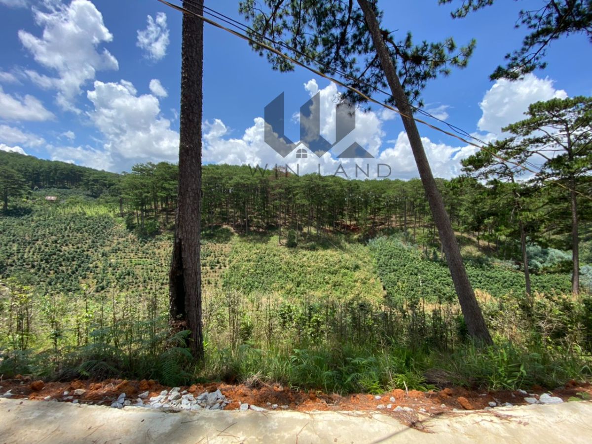 Đất Xuân Thọ - Giá: 3ty950