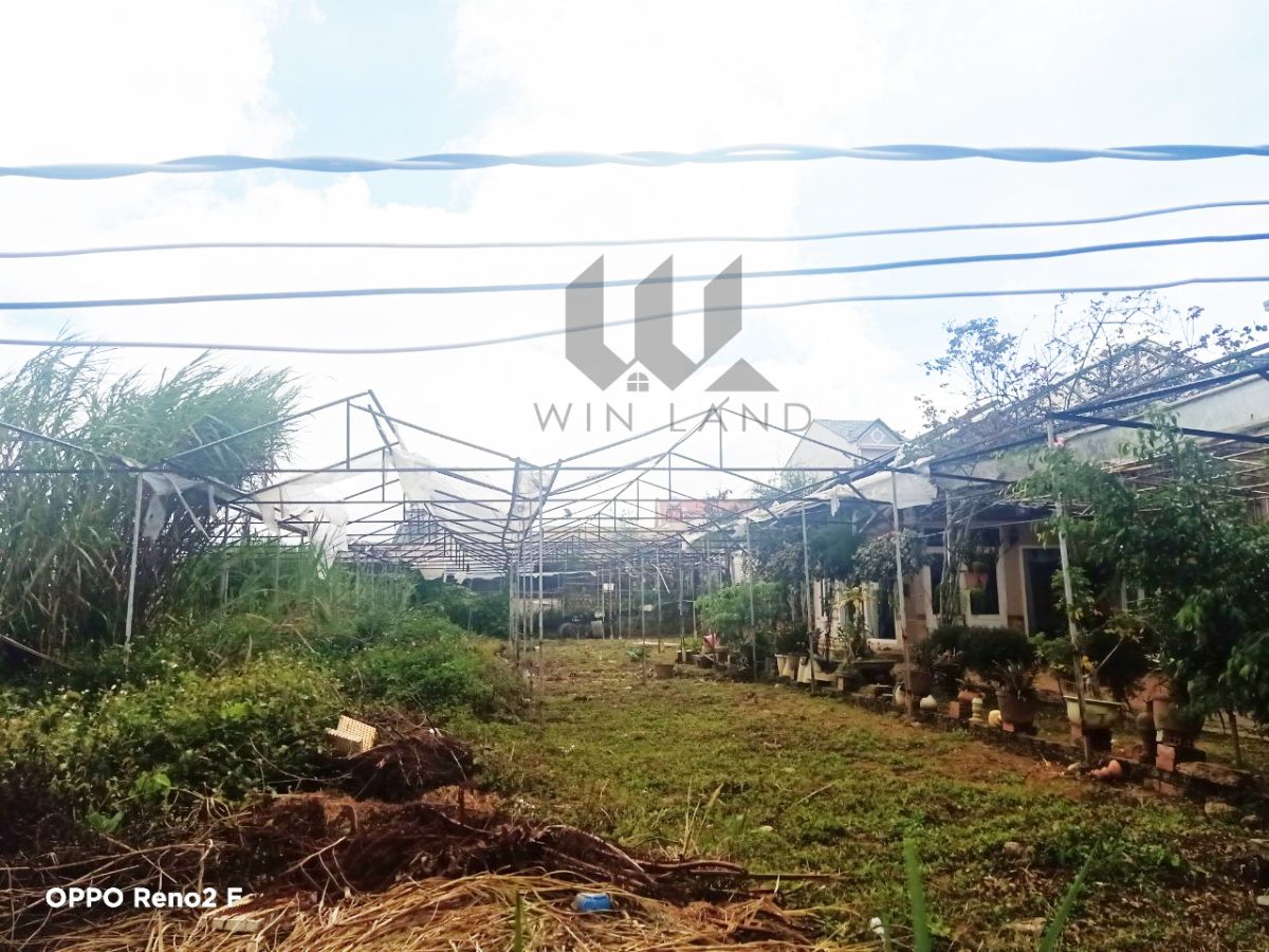 Đất Thái Phiên - Giá: 2ty6