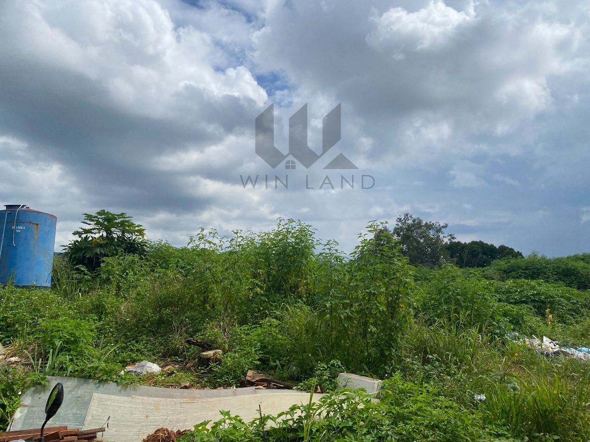 2 lô Liên Nghĩa, huyện Đức Trọng - Giá: 3ty/lô