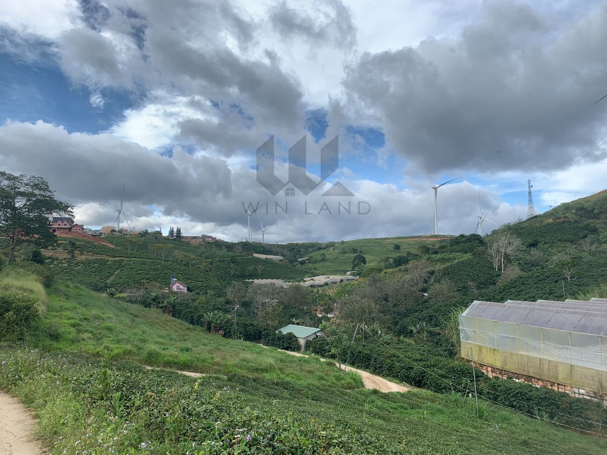 Đất xã Trạm Hành - Giá: 7ty