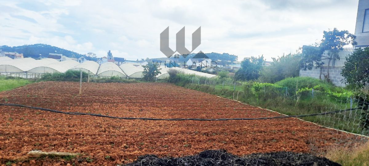 Đất Tự Phước - Giá: 8ty2