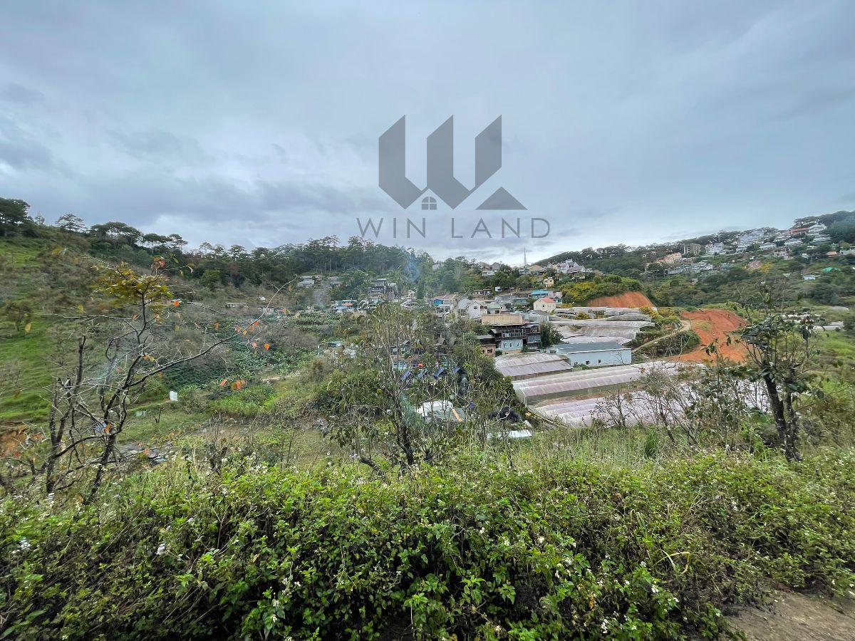 Đất Khe Sanh - Giá: 3ty8