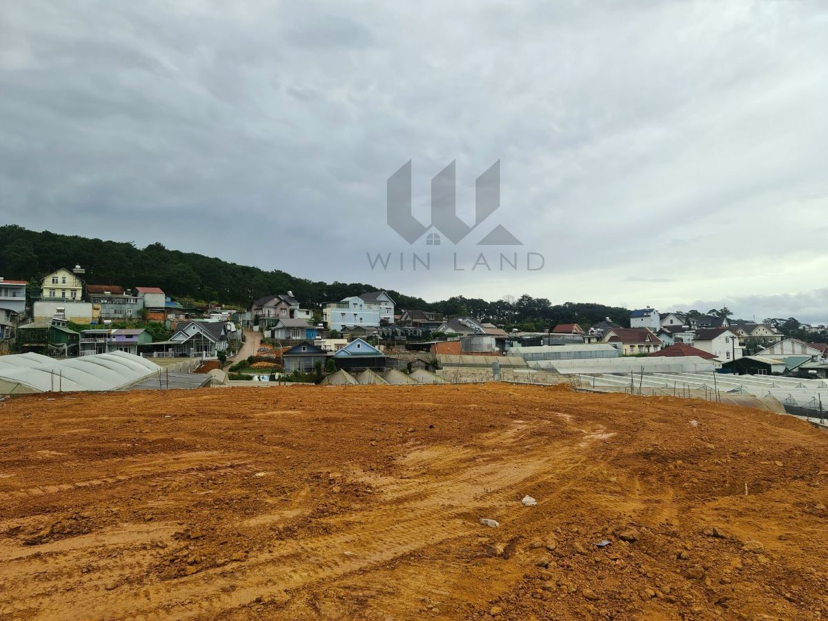 3 lô đất Nguyễn Đình Quân - Giá: 7ty5/lô