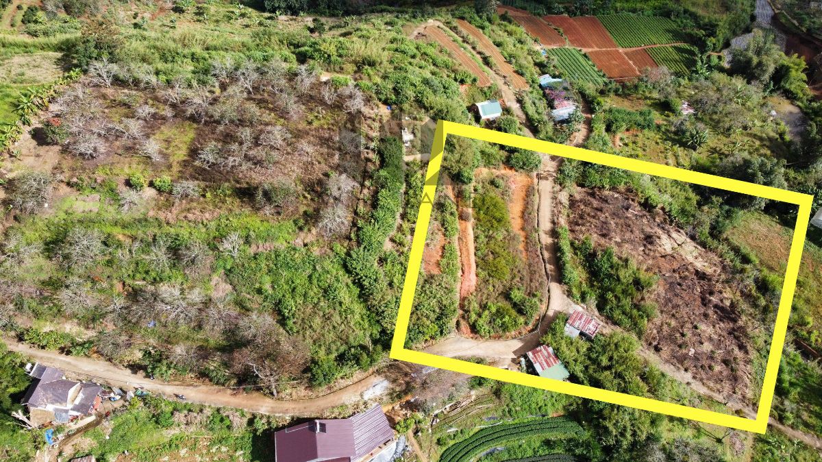 Đất Trần Thái Tông - Giá: 5ty460
