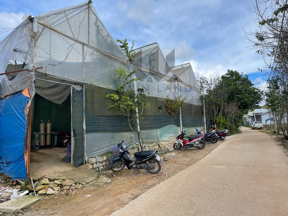 Đất Nguyên Tử Lực - Giá: 17ty520