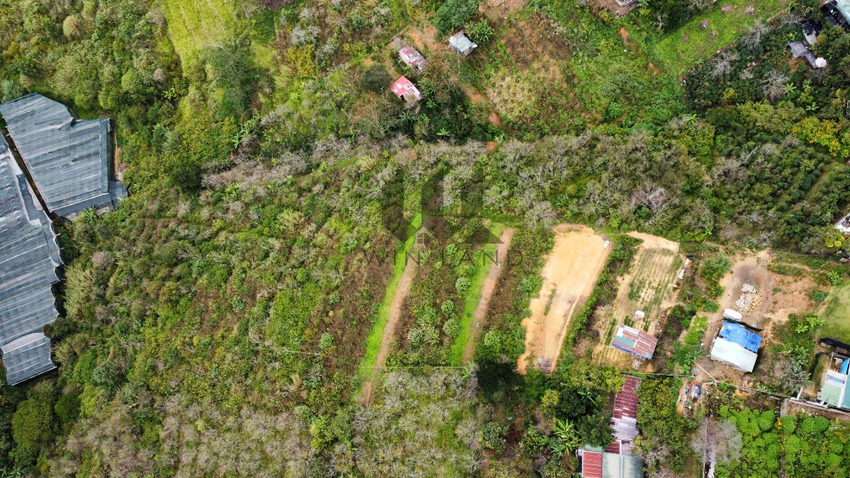 Đất Lê Văn Tám - Giá: 145ty (10tr/m2)