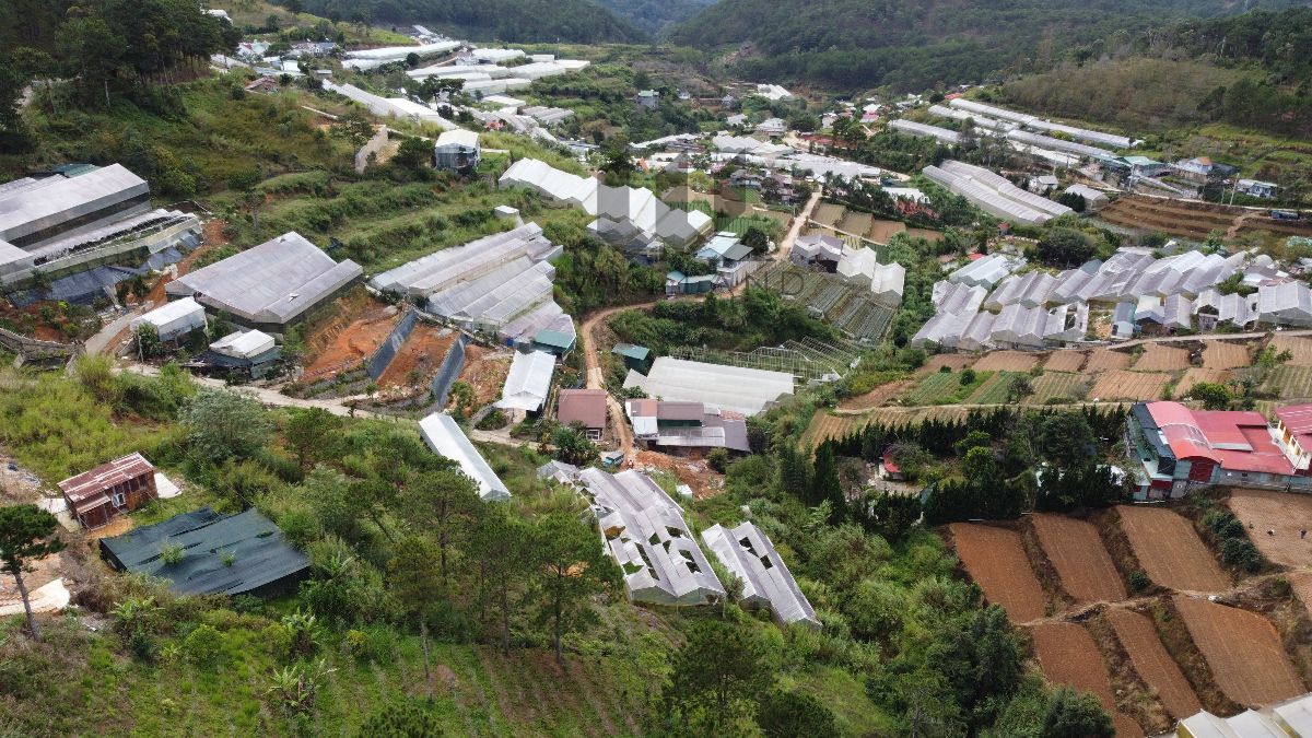 Đất Trần Thái Tông - Giá: 30ty, tlcc