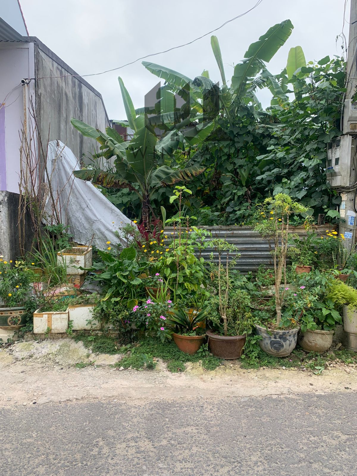Đất KQH XN92 Mê Linh - Giá: 6ty5
