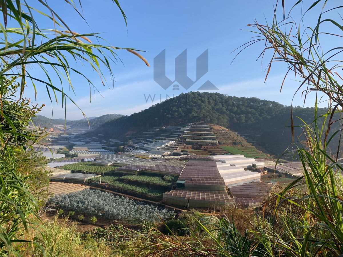 Đất Lộc Quý, xã Xuân Thọ - Giá: 5ty