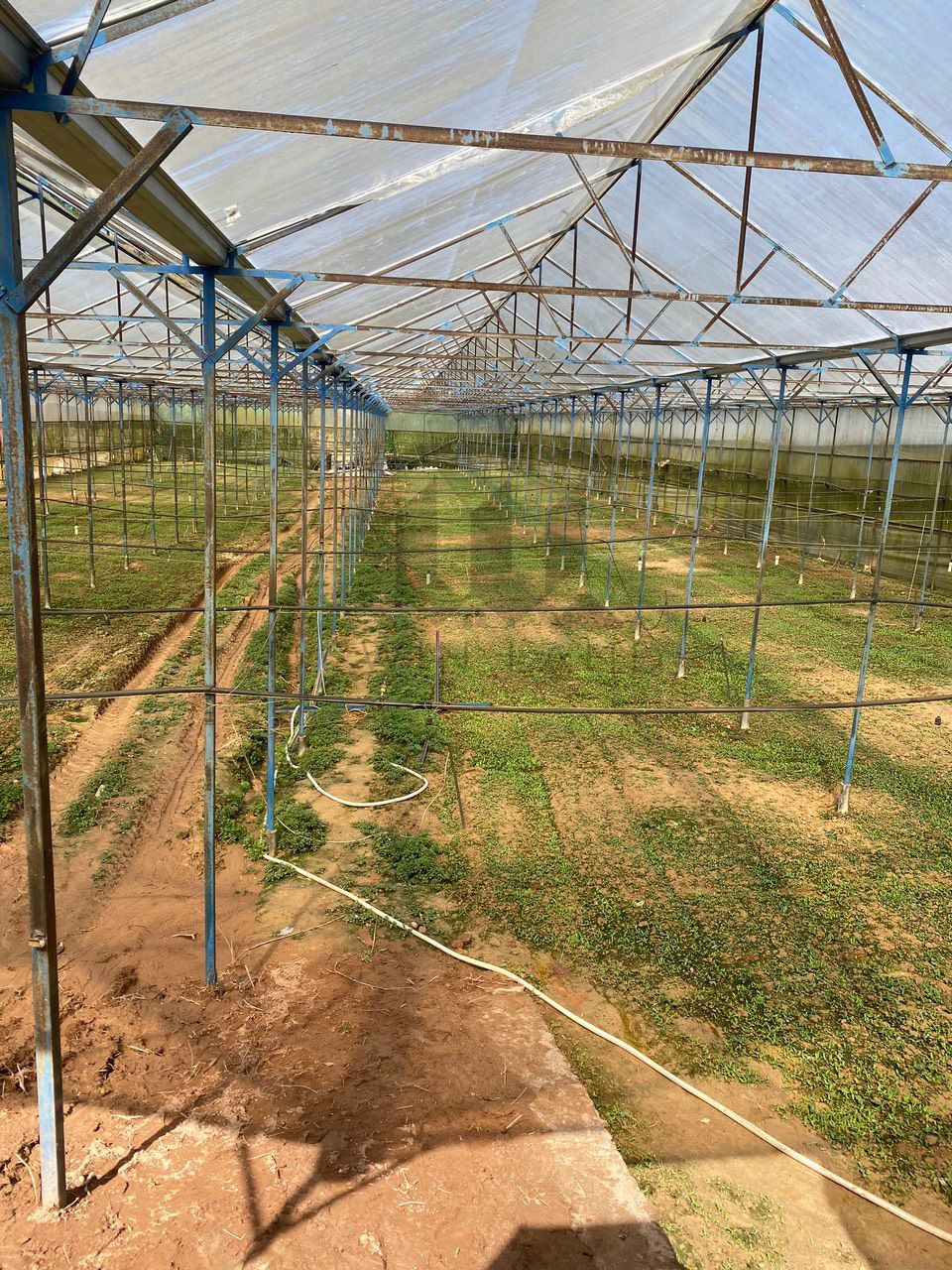 Đất Ankroet - Giá: 360tr