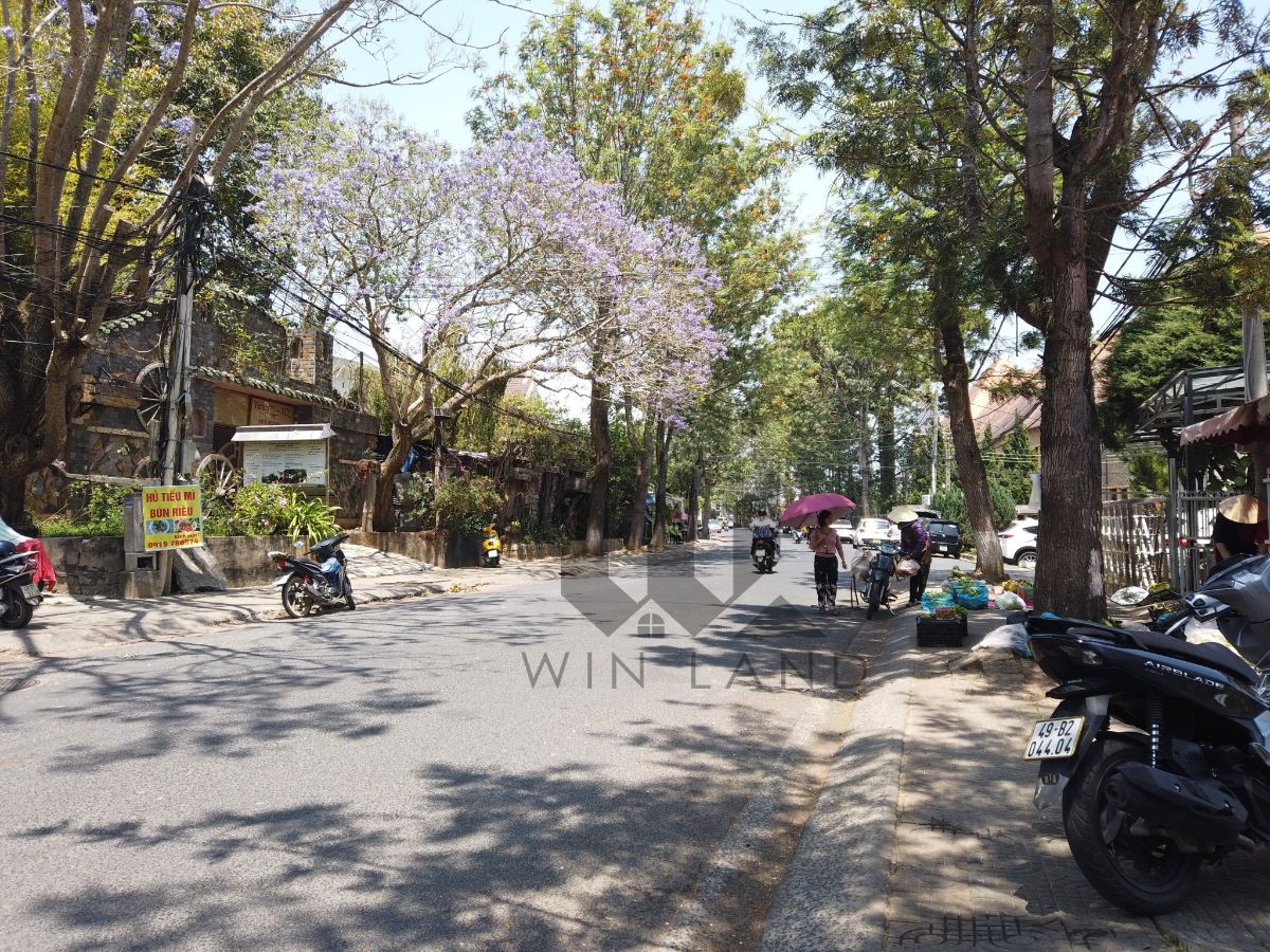 Nhà Mặt tiền Yersin - Giá: 25tỷ tl