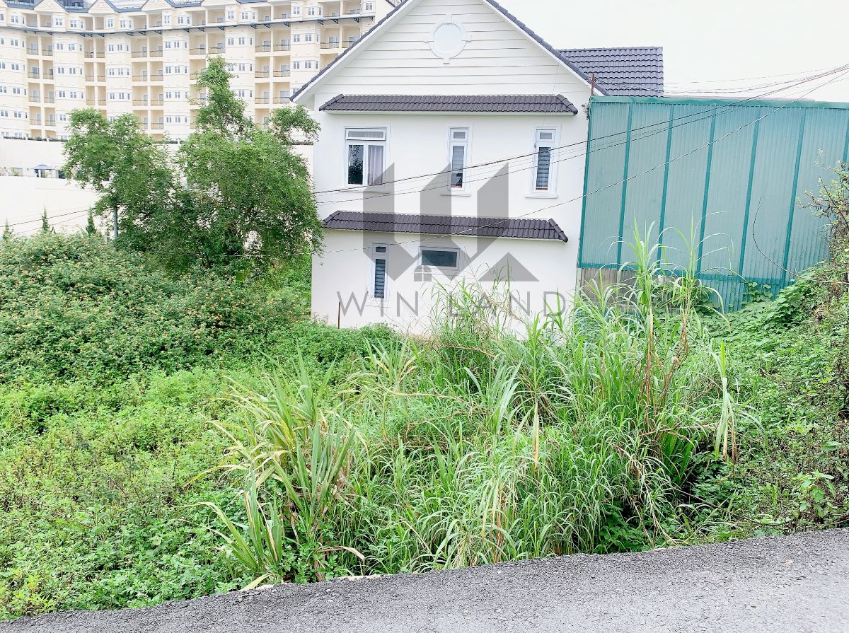 Đất Mặt tiền Trần Đại Nghĩa - Giá: 15ty