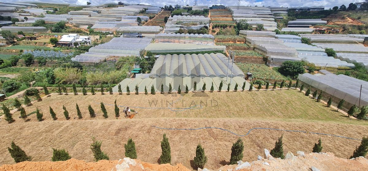 Đất Huỳnh Tấn Phát - Giá: 8ty050