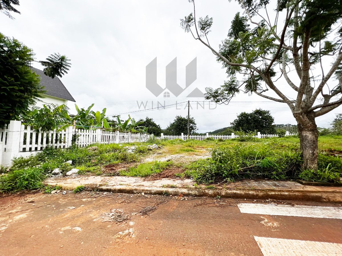 Đất biệt thự khu RichLand Măng Lin - Giá: 6ty5
