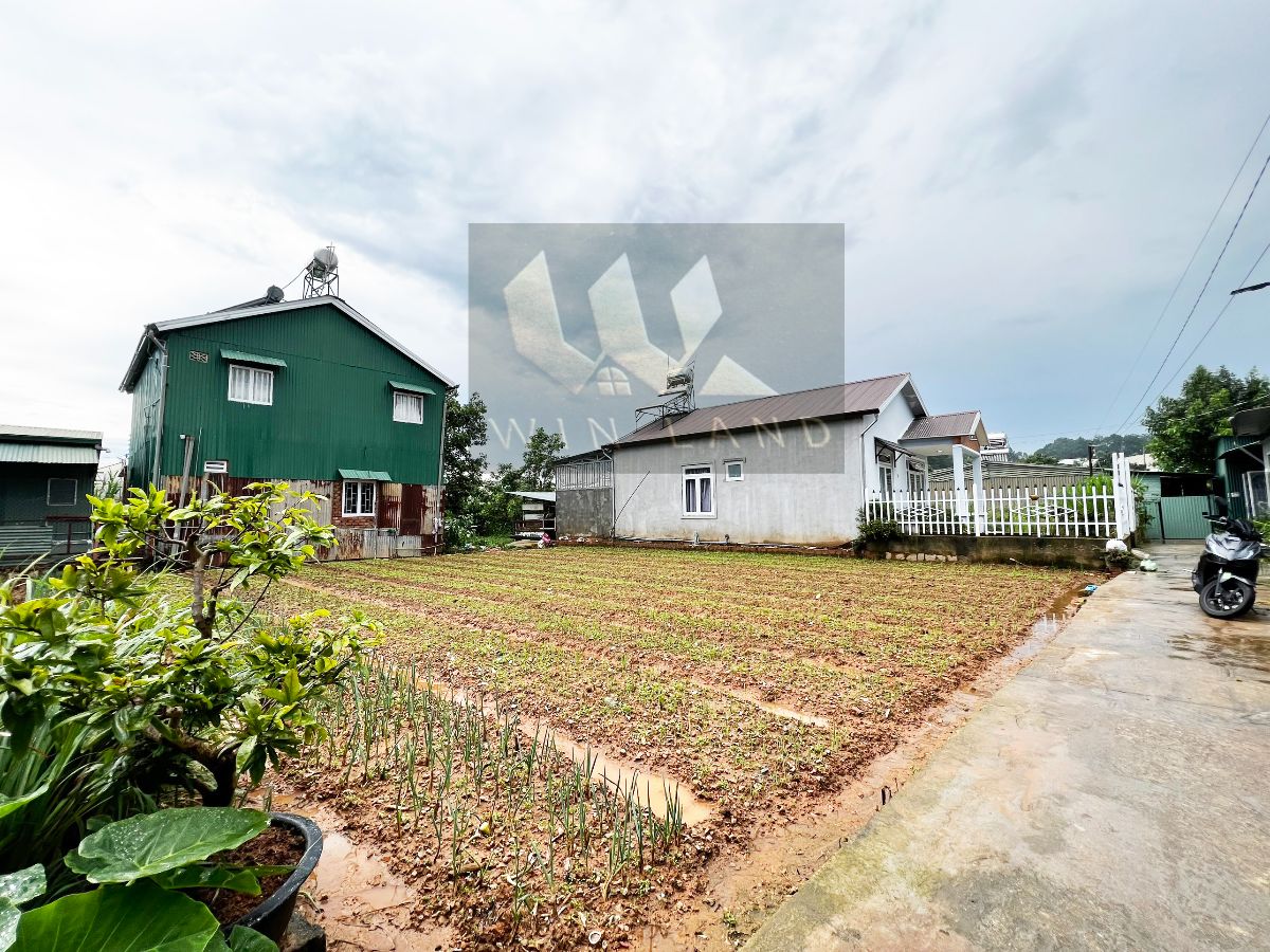 Đất Trạng Trình - Giá: 4ty5
