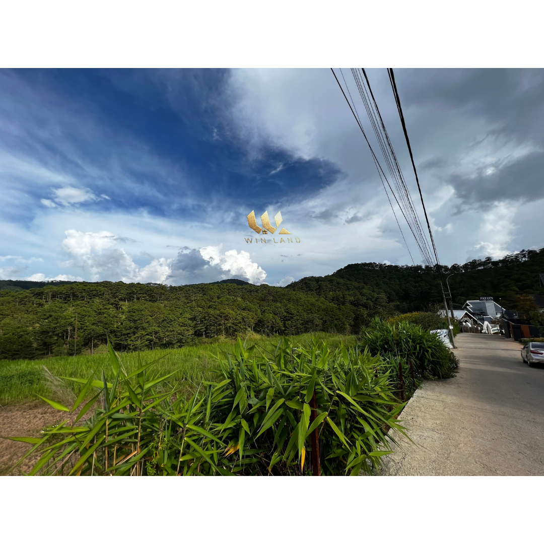Đất Hoàng Hoa Thám - Giá: 38ty6