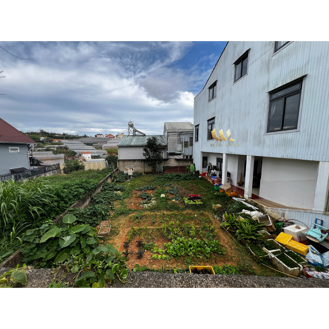Đất Hùng Vương - Giá: 11ty