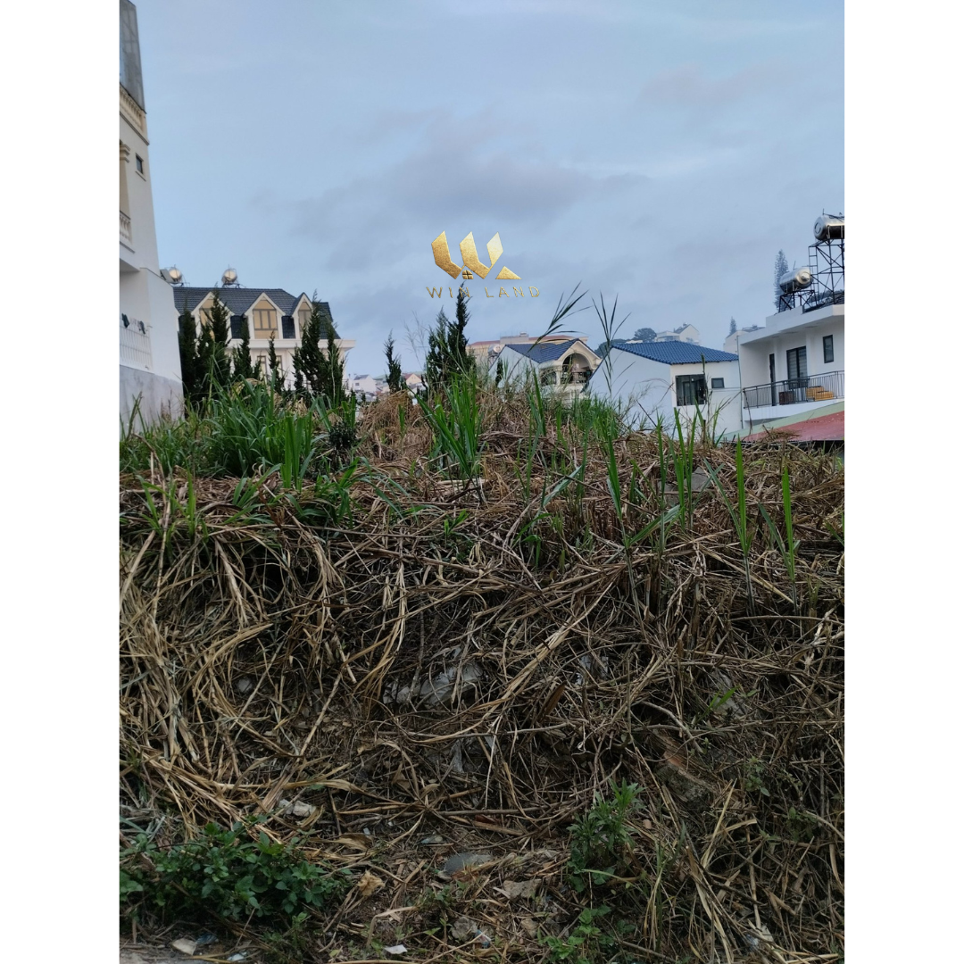 Đất Lữ Gia - Giá: 10ty
