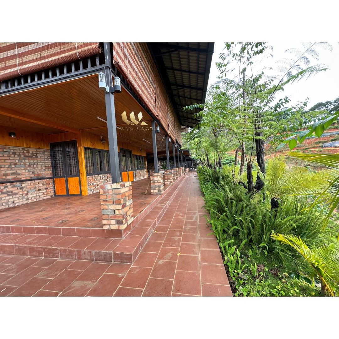 Đất Đạ Sar, Lạc Dương - Giá: 13ty