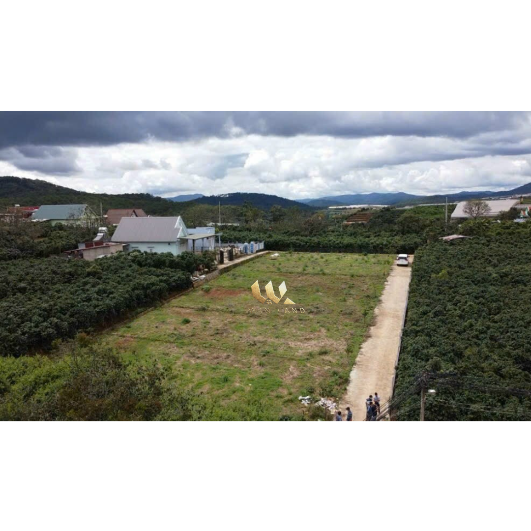 Đất view đồi thông xã Xuân Thọ - Giá: 16ty