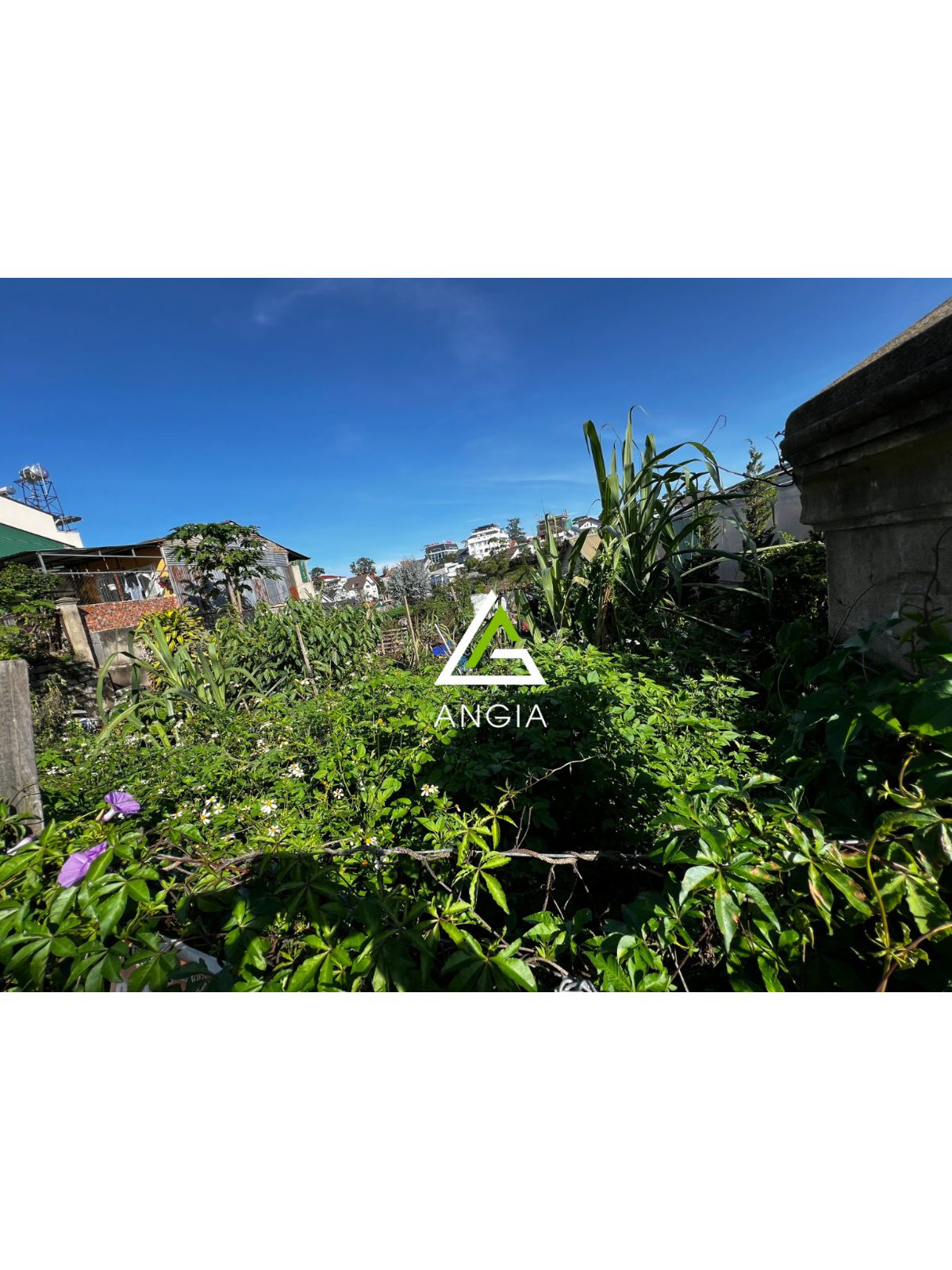Đất Trần Thái Tông - Giá: 11ty9