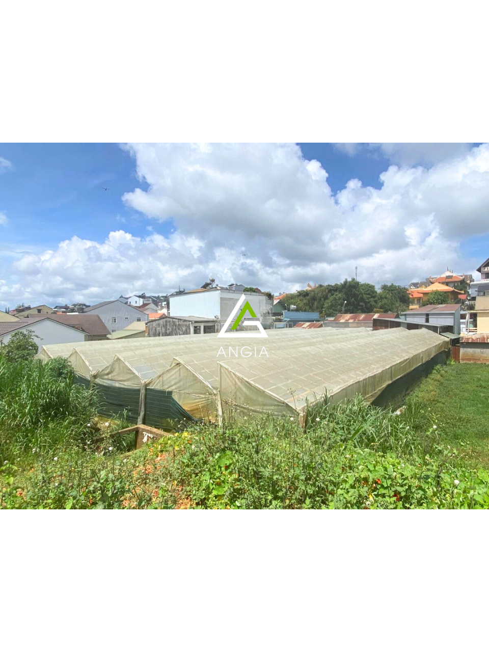 Bán đất tặng nhà Mặt tiền Hai Bà Trưng - Giá: 150ty