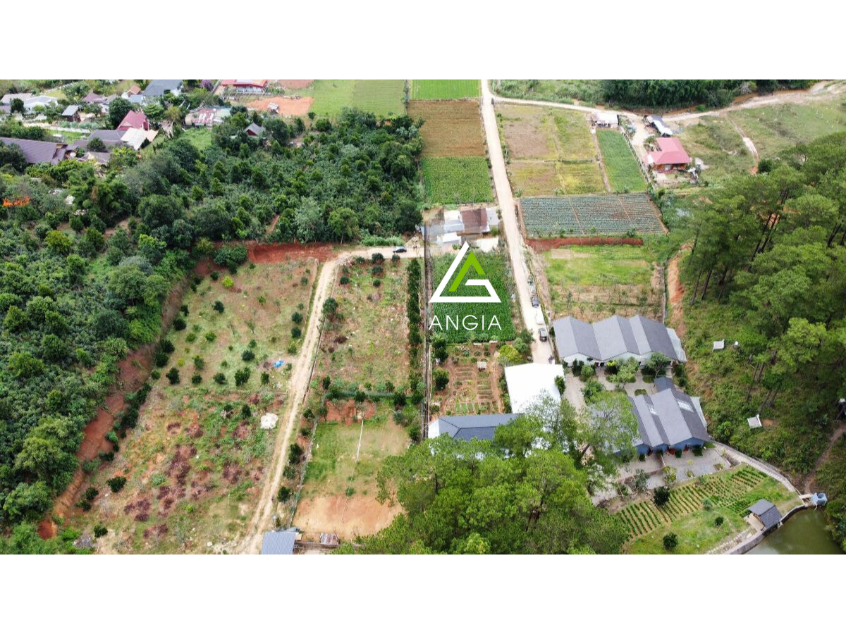 Đất xã Hiệp An - Định An, huyện Đức Trọng - Giá: 11 tỷ 3/ lô