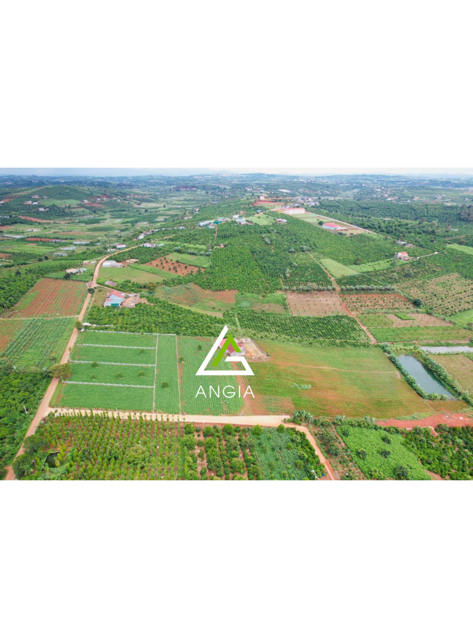 Đất xã Hoài Đức, huyện Lâm Hà - Giá: 5ty3, ctl
