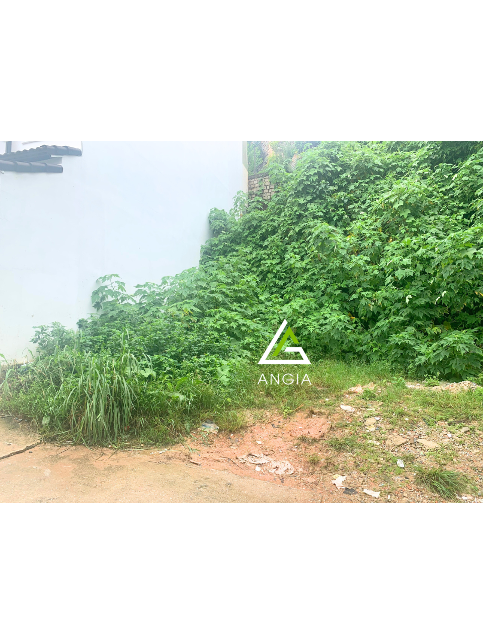 Đất Nguyễn An Ninh - Giá chốt: 4ty350, ktl