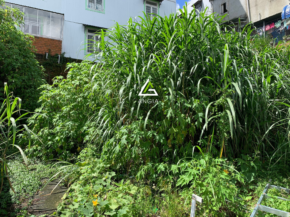 Đất Ngô Thì Nhậm - Giá: 3ty8
