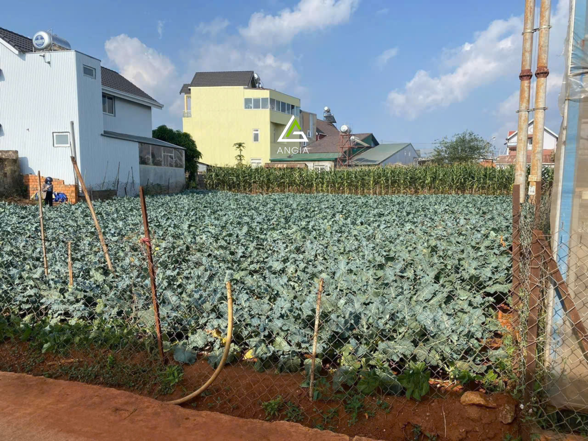 Đất Xuân Thọ - Giá: 6ty9