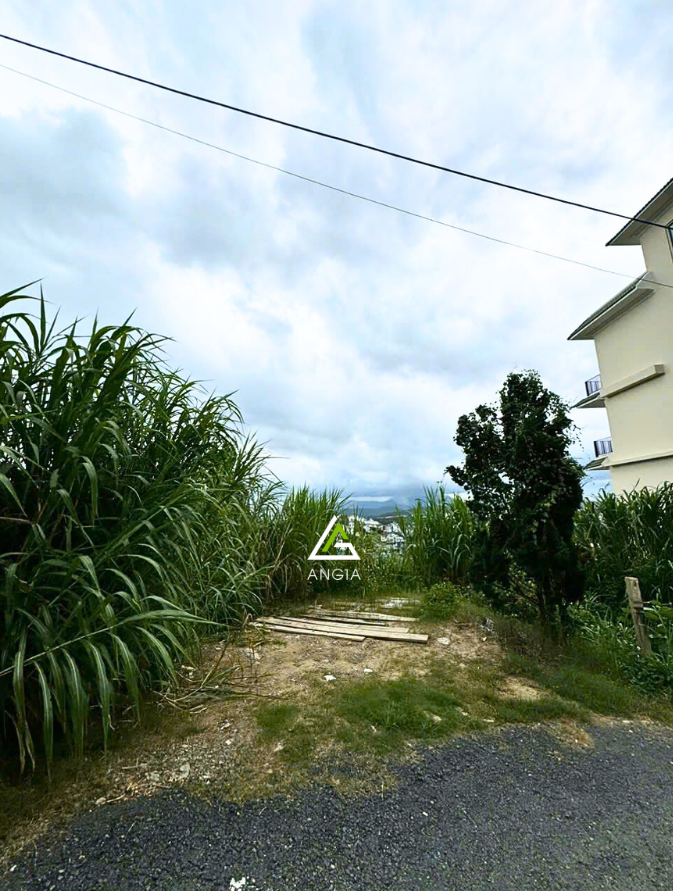 Đất Trịnh Hoài Đức - Giá: 8ty5