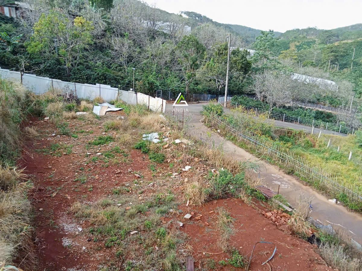 Đất Măng Lin - Giá: 5ty5